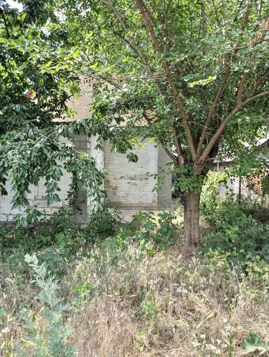 Cozy house for sale for $12,000