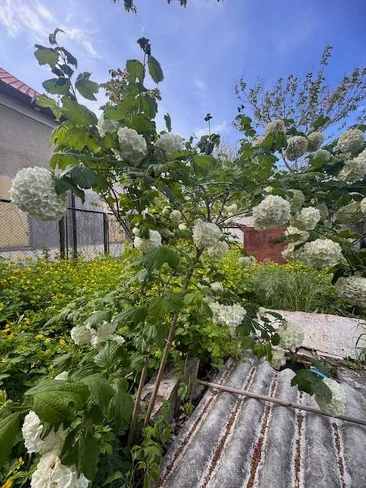 Продам участок со стороением, ул Куприна -Академический пер.