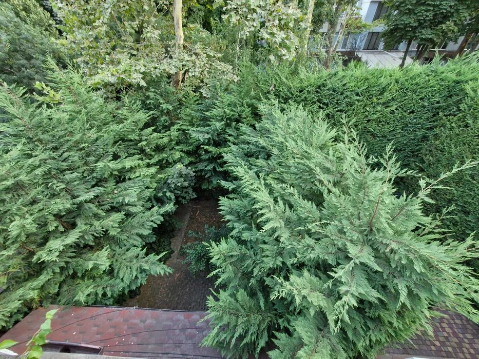 Продам коттедж у моря ЛД