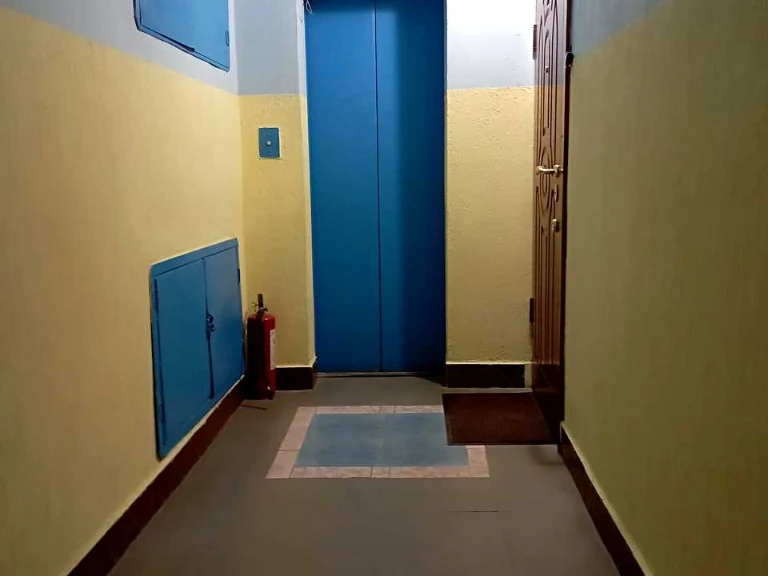 Apartment. Kharkiv, Olega Hromadskoho St.