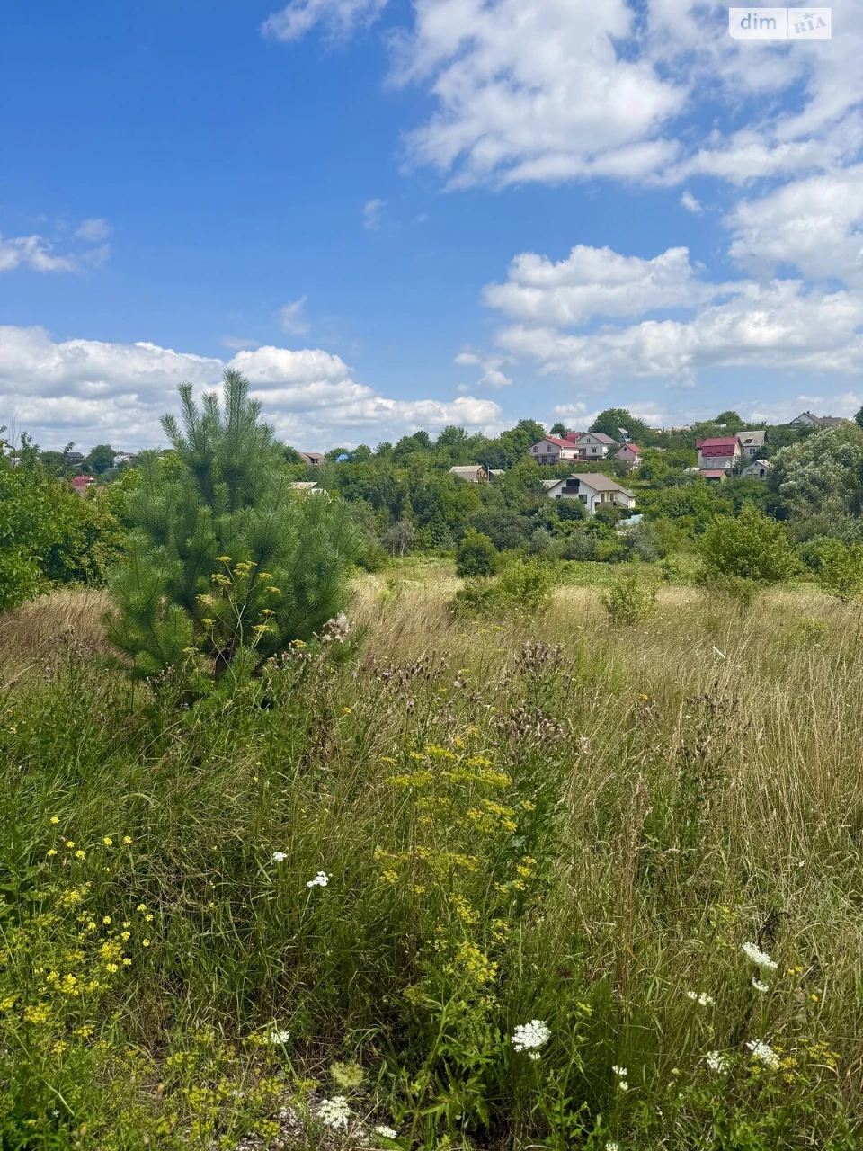 Продаж Земля сільськогосподарського призначення Дубове