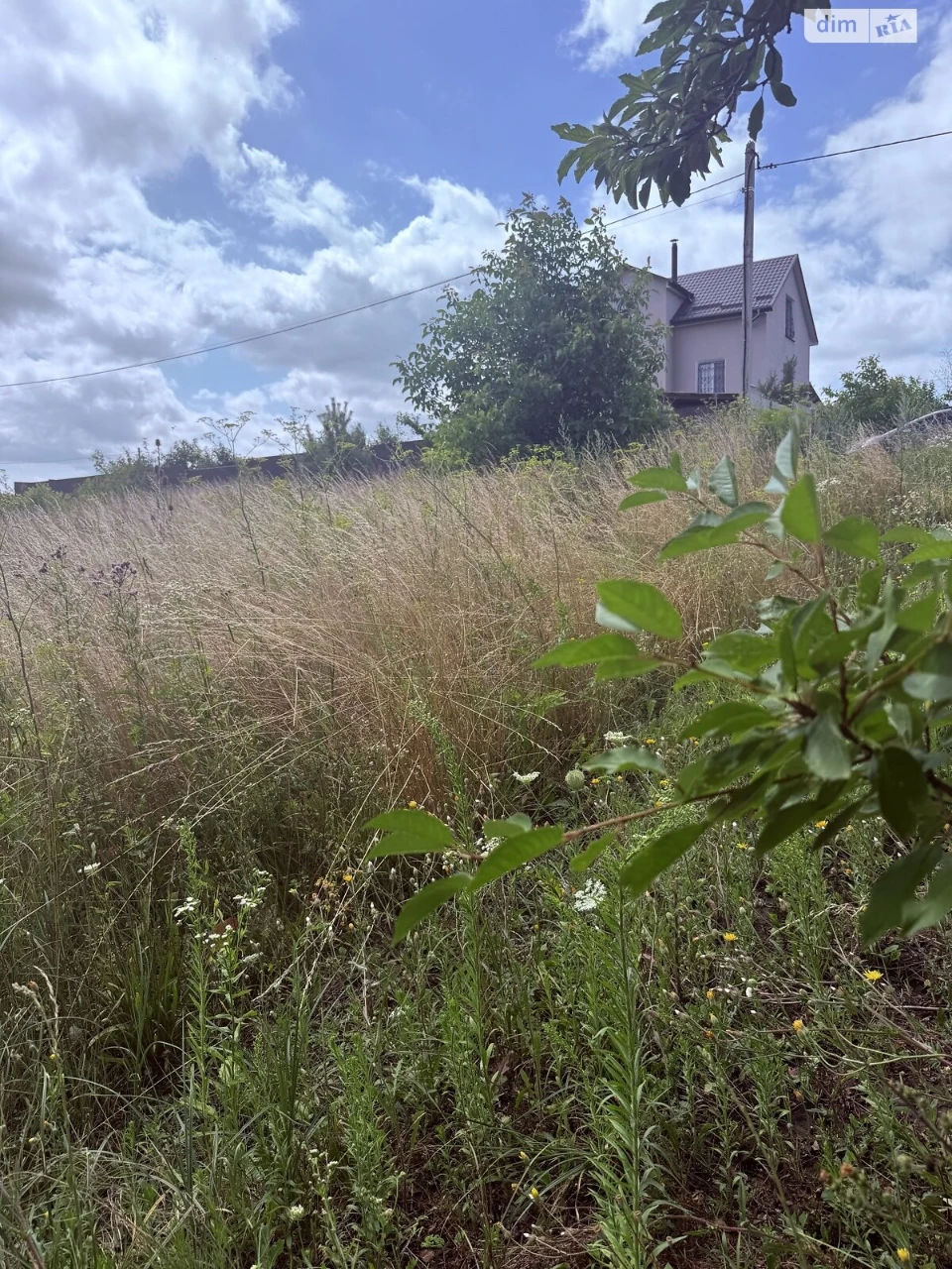 Продаж Земля сільськогосподарського призначення Дубове