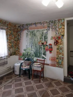 House + garage for sale. Owner. Dniprovsky district, Zaporozhye city