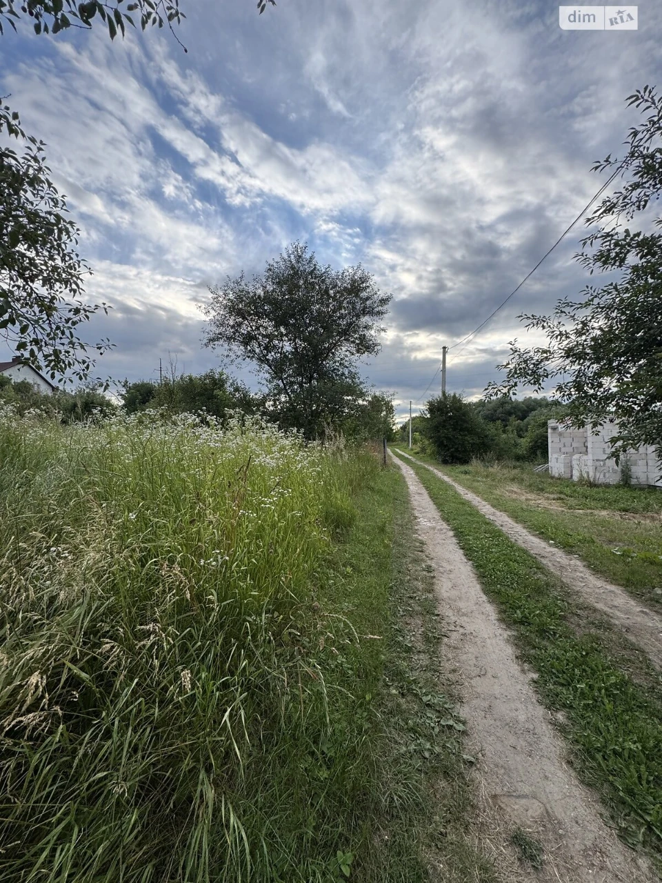 Продаж Земля сільськогосподарського призначення Лезневе