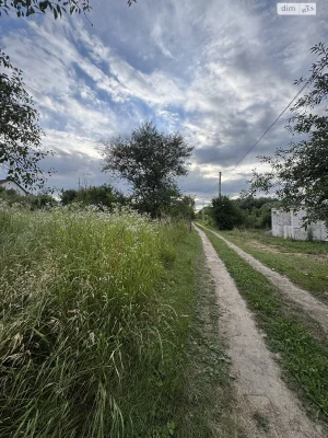 Продаж Земля сільськогосподарського призначення Лезневе